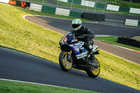 Evening Adv_Mid Group Blue Bikes